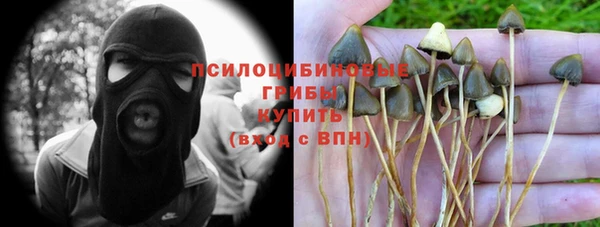 молекула духа Алексеевка