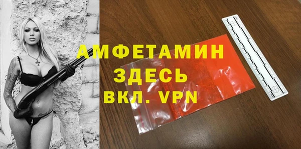 молекула духа Алексеевка