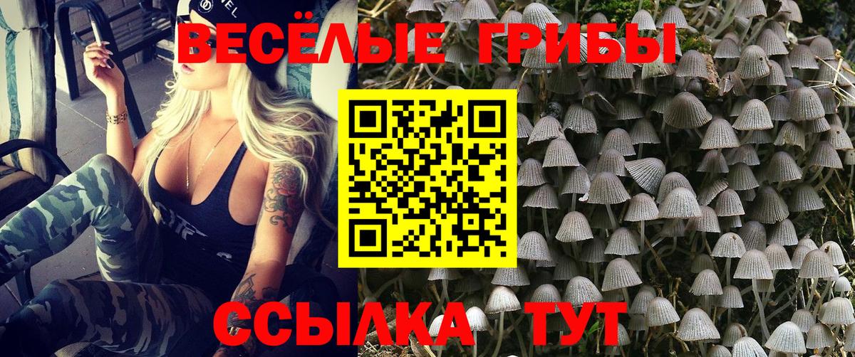 Галлюциногенные грибы мухоморы Дедовск