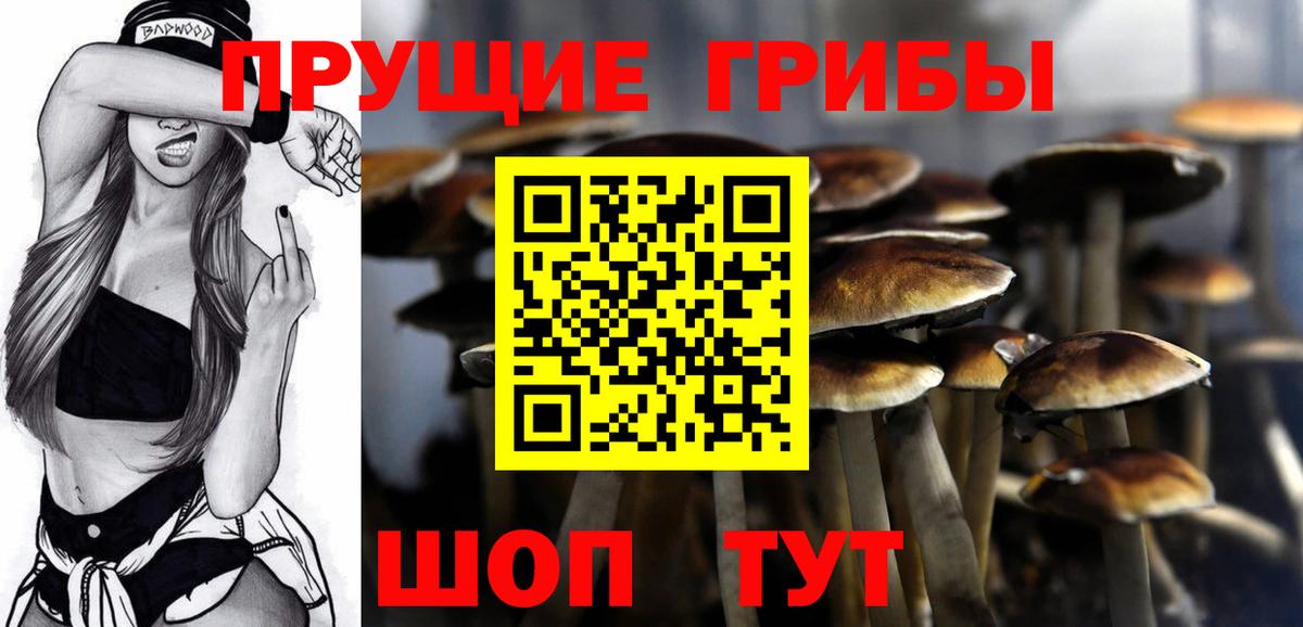 Дедовск  Псилоцибиновые грибы GOLDEN TEACHER  Вход с VPN 